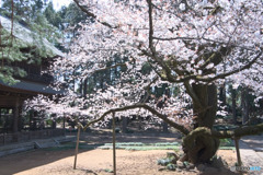 廣園寺