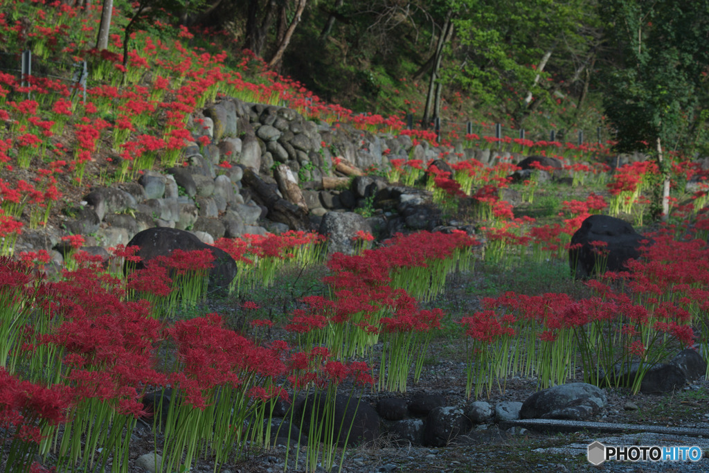 押堀川水辺広場