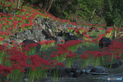 押堀川水辺広場