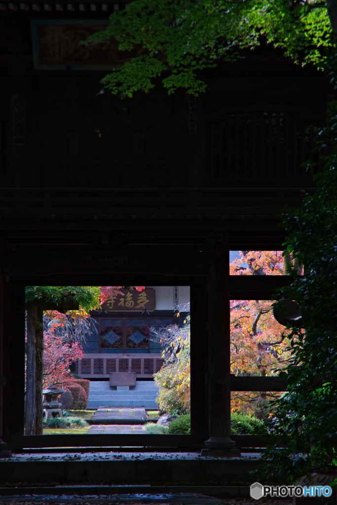 多福寺