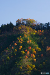 和田橋
