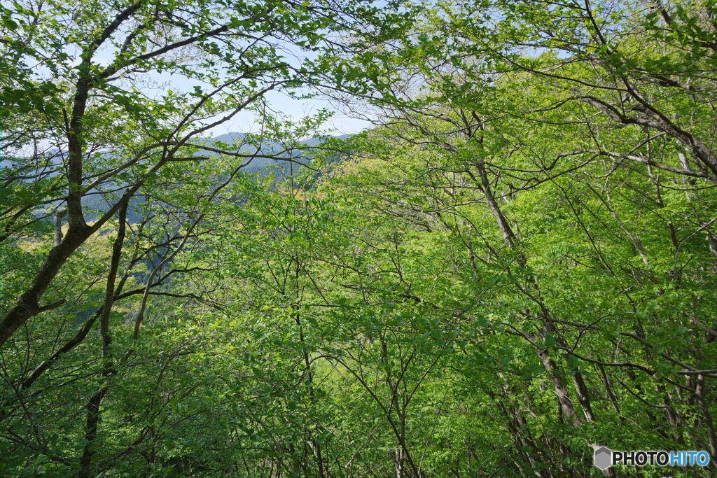 高山不動茶屋跡地