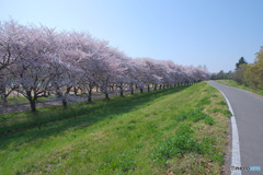 川越水上公園