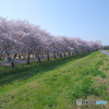 川越水上公園