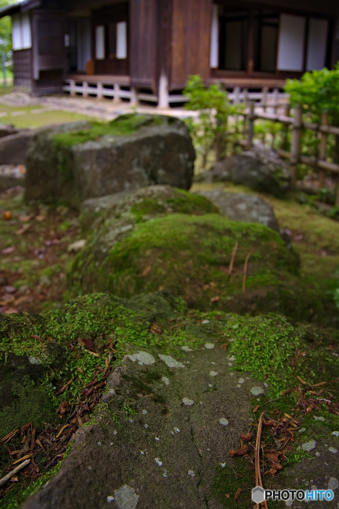 古民家の庭