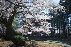 廣園寺の山門