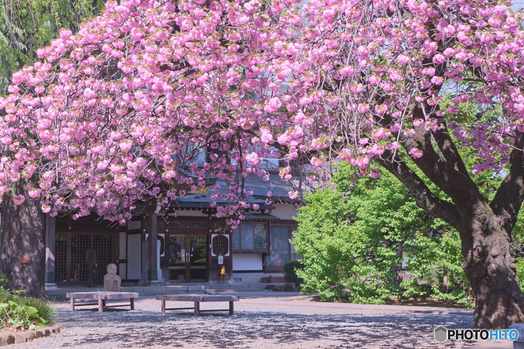 宝幢寺