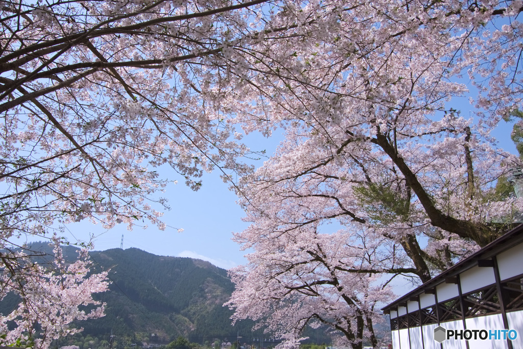 海禅寺