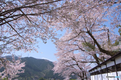 海禅寺
