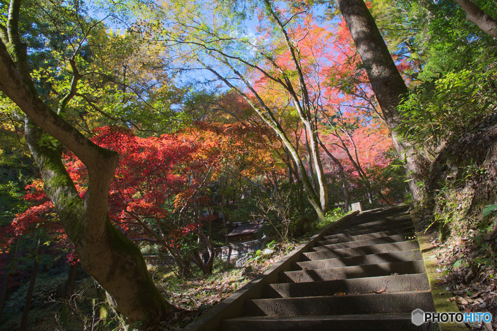 東郷公園