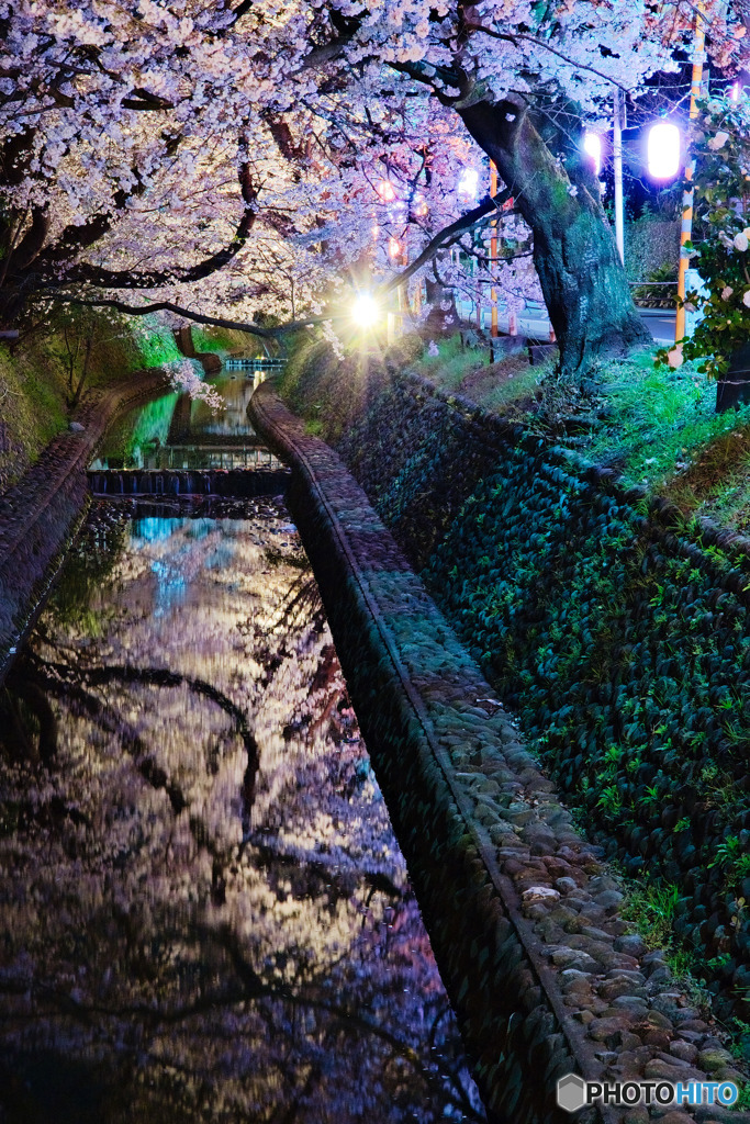 提灯