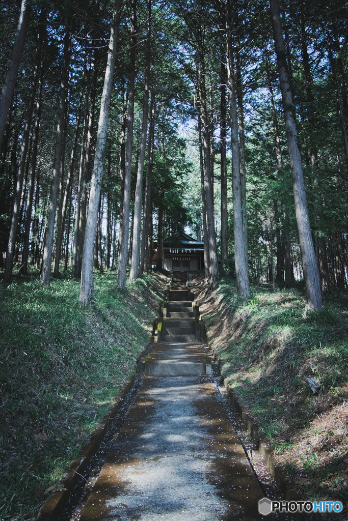 ときがわ町、日枝神社の参道