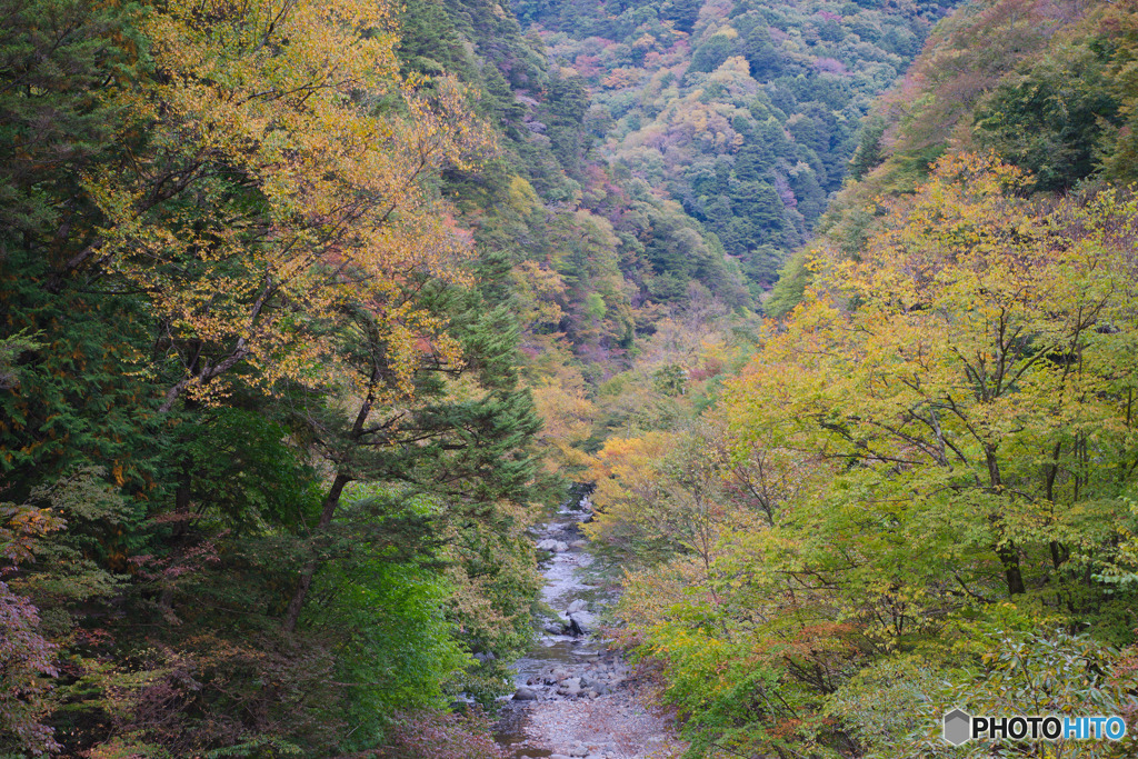 羽根戸トンネル