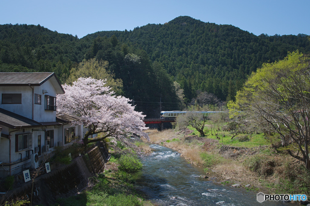 長念寺