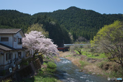 長念寺