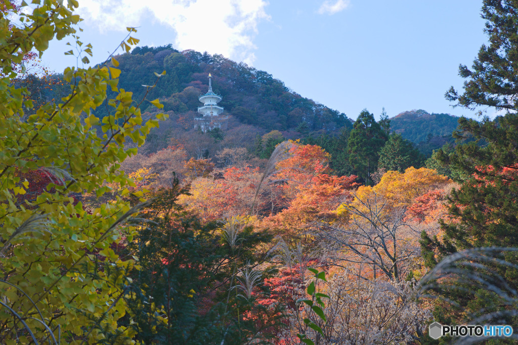 鳥居観音