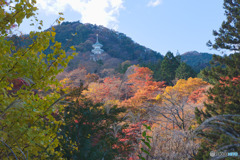 鳥居観音