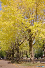 光が丘公園