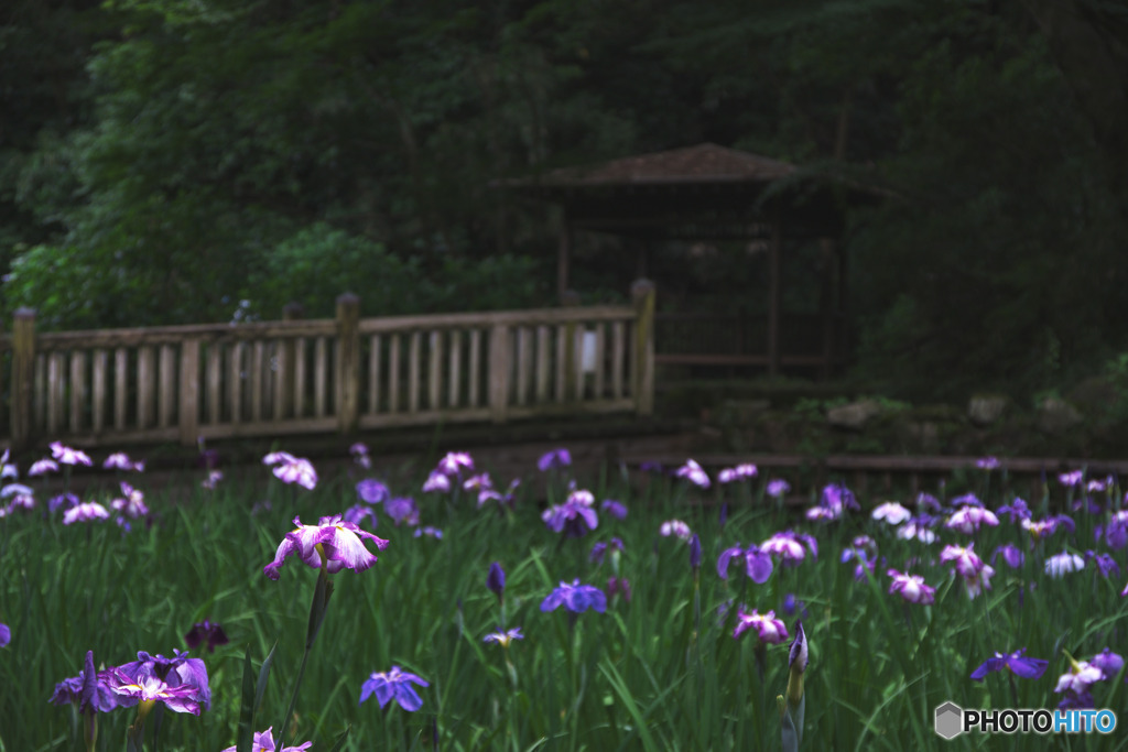 生田緑地