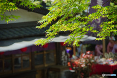 涼やかに