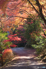 東郷公園
