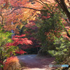 東郷公園