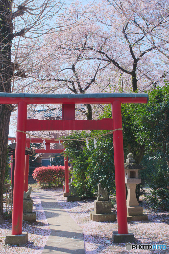 鎌足稲荷神社