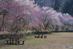 小峰公園