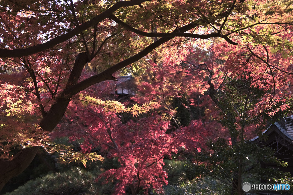 深大寺