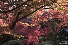 深大寺