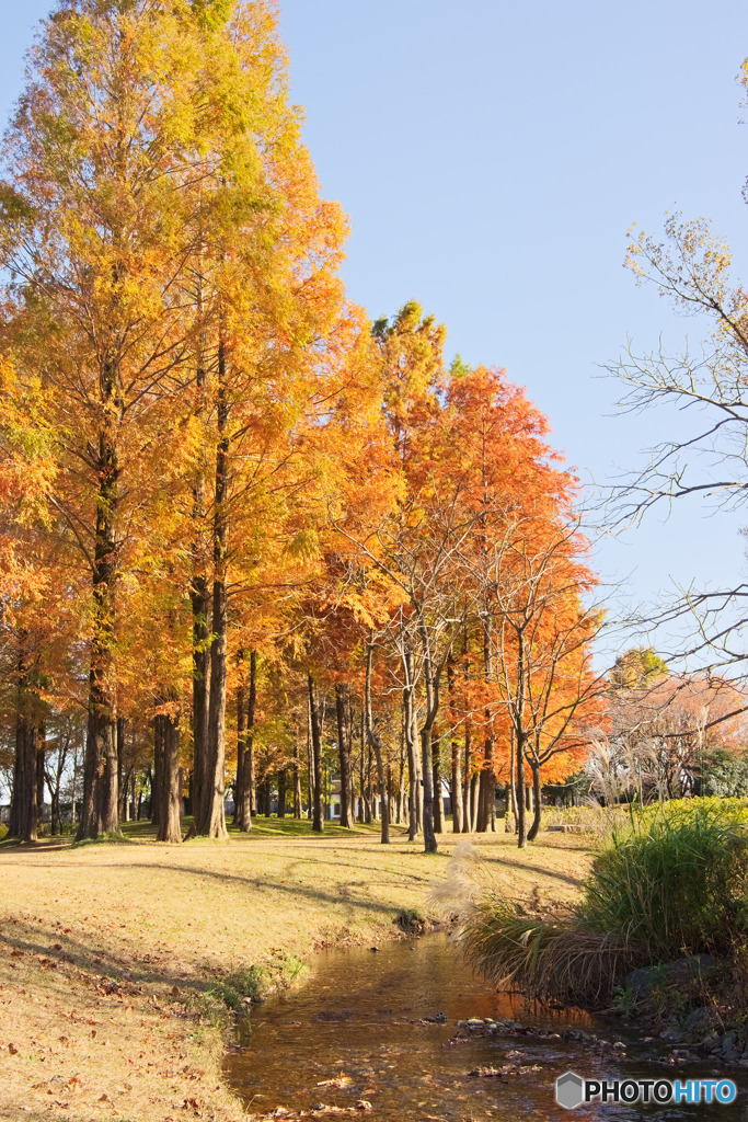 入間公園