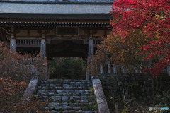 鳥居観音