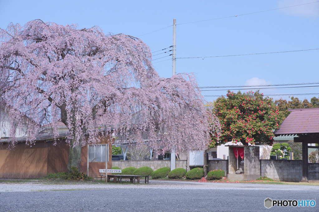 西光寺