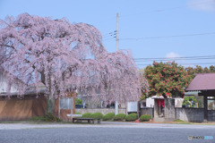 西光寺