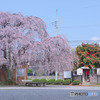 西光寺