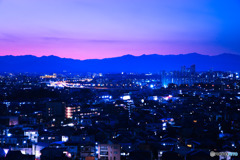 中央フリーウェイ