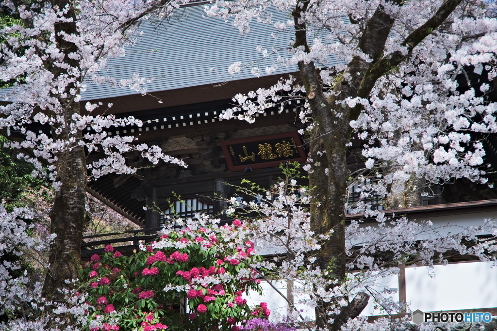 花の寺