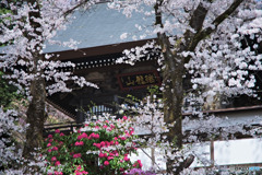 花の寺