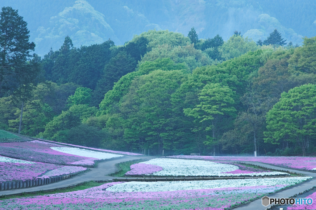 羊山公園