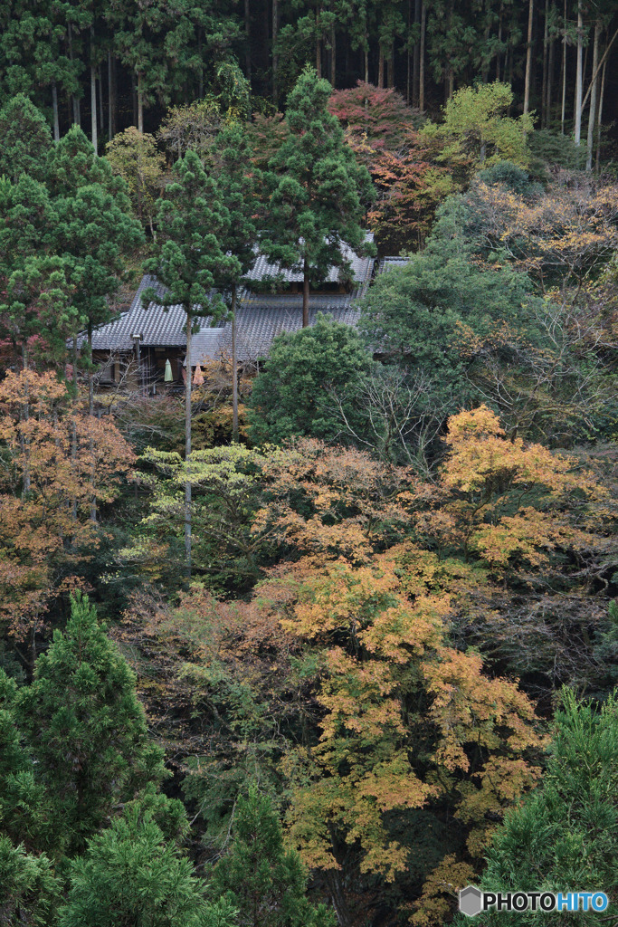 数馬峡