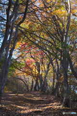 日向山