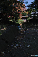 入間市、愛宕公園