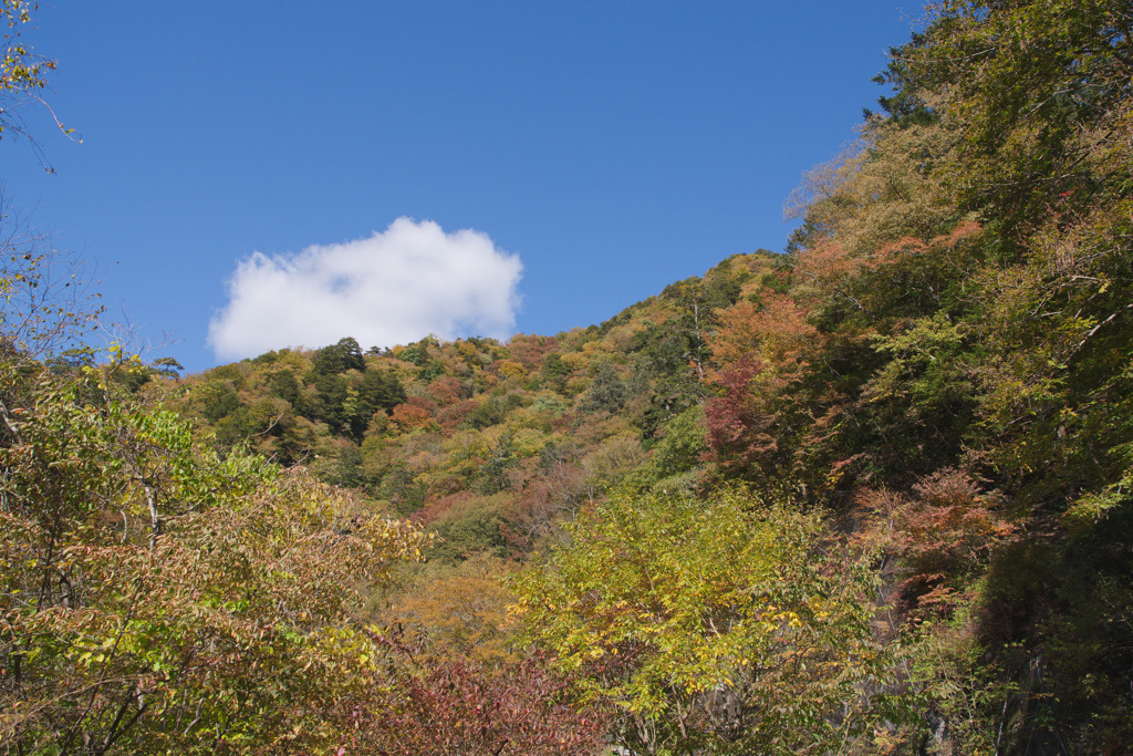 かたなば・大常木トンネル