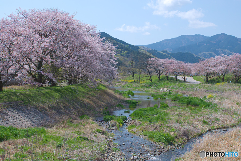 矢岸歩道橋