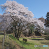鉢形城公園