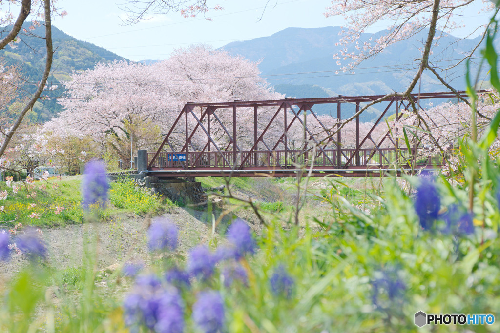 矢岸歩道橋