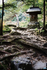 鳩ノ巣渓谷水神社