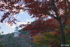 鳥居観音
