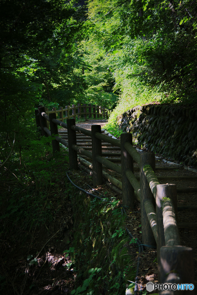 遊歩道