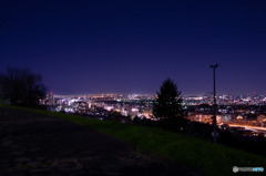 都立桜ヶ丘公園 ゆうひの丘からの夜景